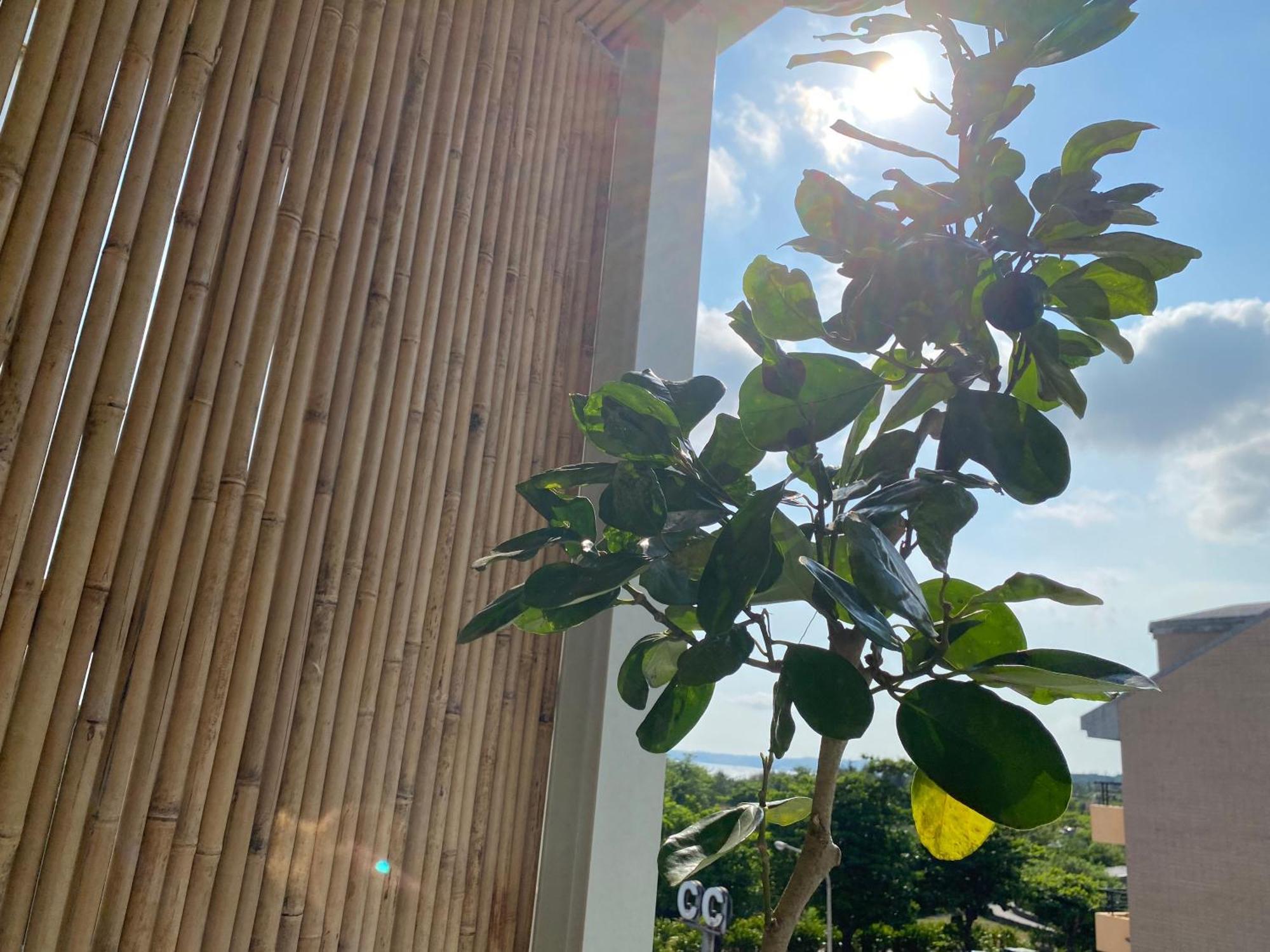 The Deer Head Inn Kenting Εξωτερικό φωτογραφία
